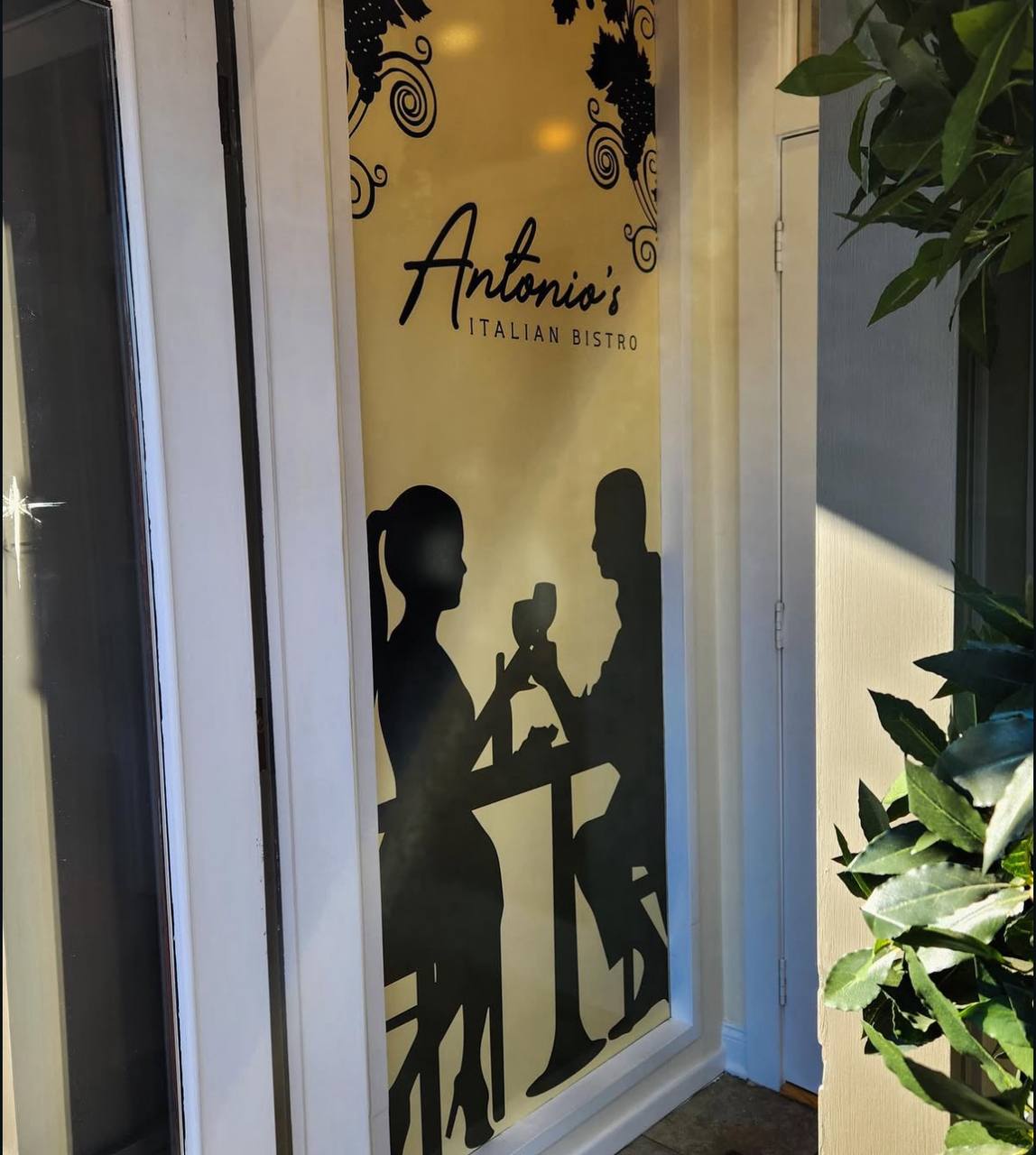 photo 2026 01 09 22 00 35